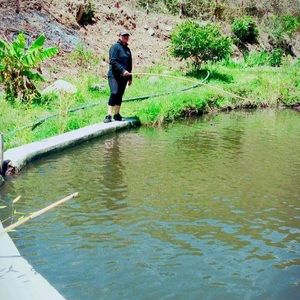 Meet your Posher, Abigail